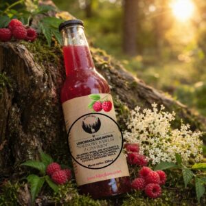 lemoniada malinowa z czystkiem bliżej lasu