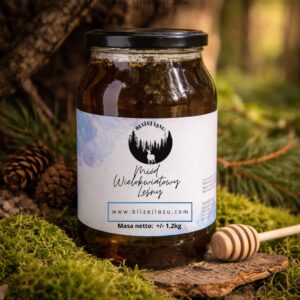 Duży słoik miodu wielokwiatowego leśnego 1,2 kg Bliżej Lasu na tle mchu i szyszek