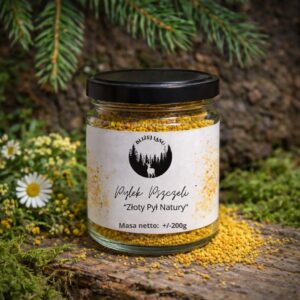 Pyłek pszczeli 200 g w małym szklanym słoiku z czarną nakrętką ustawiony na drewnianym podłożu w naturalnym otoczeniu.