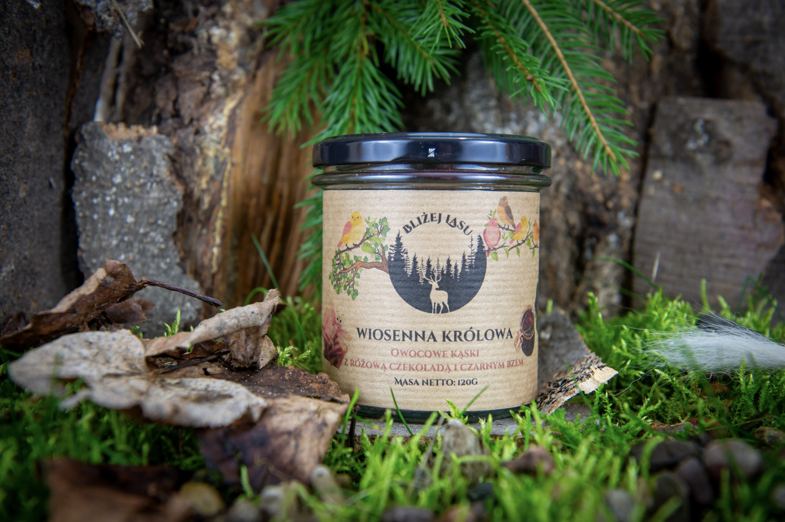 Kąski w czekoladzie