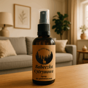 Spray do pomieszczeń